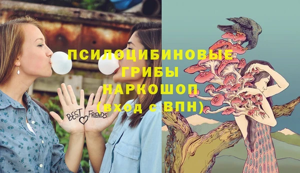 гашиш Бородино