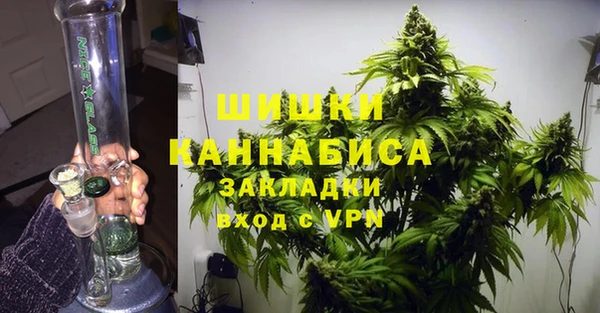 мдпв Богородицк